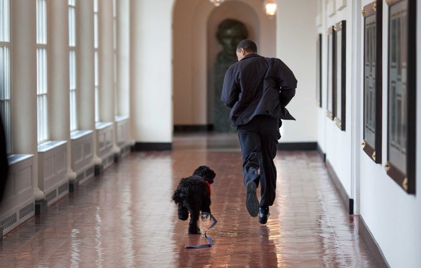 Barack Obama sous l'objectif des photographes (8)