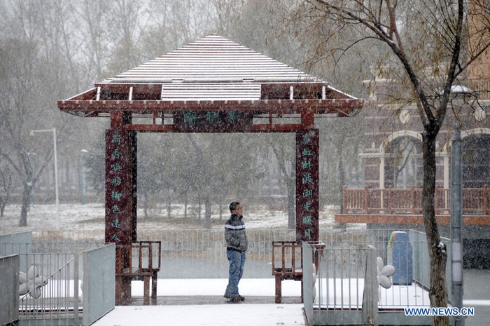 Un homme s'abrite de la neige sous un pavillon dans un parc à Hegang, dans la province du Heilongjiang (nord-est), le 8 novembre 2012. Des chutes de neige légères à modérées se sont abattues jeudi sur la ville de Hegang.