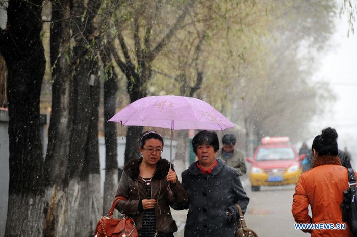 Des gens marchent dans la rue sous la neige à Hegang, dans la province du Heilongjiang (nord-est), le 8 novembre 2012. Des chutes de neige légères à modérées se sont abattues jeudi sur la ville de Hegang.