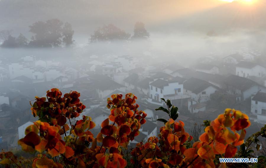 EN IMAGES: beaux paysages à Wuyuan (5)