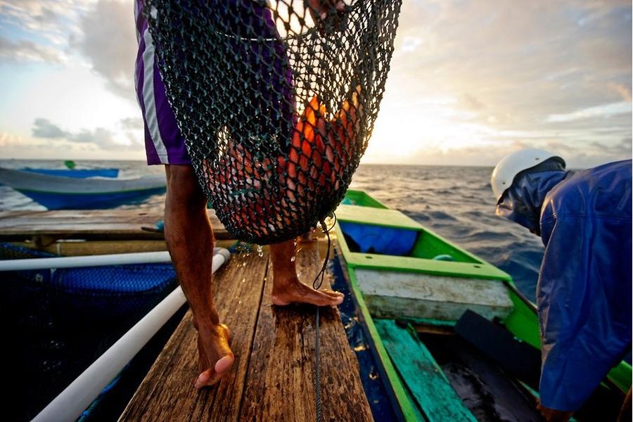 Les Bajau : les derniers nomades de la mer (25)