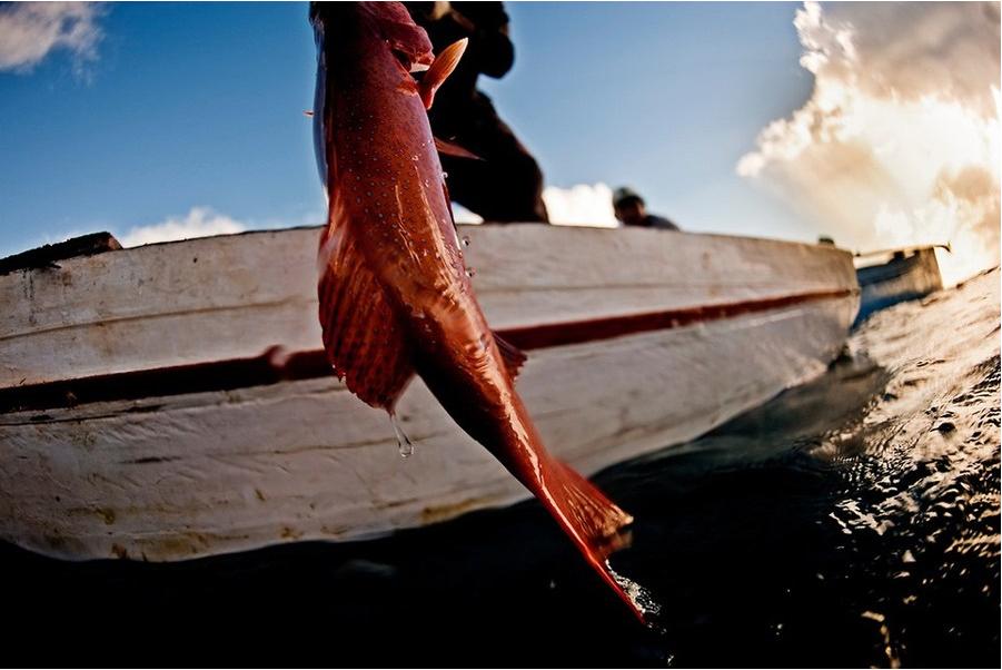 Les Bajau : les derniers nomades de la mer (24)