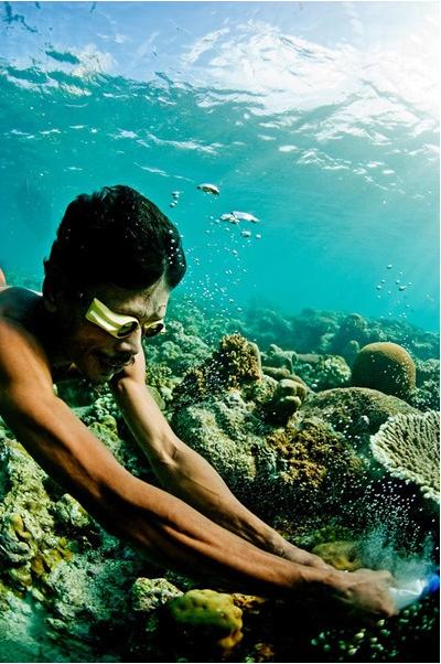 Les Bajau : les derniers nomades de la mer (19)