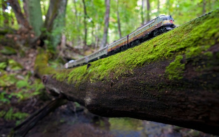 Un photographe traverse le Canada avec son train miniature (9)