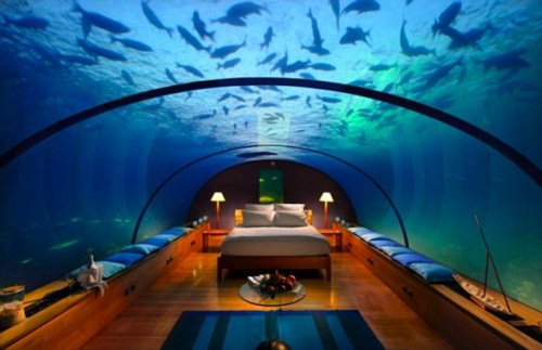 Cet hôtel aux Maldives est construit au fond de la mer. C'est un monde qui reste toujours calme quoi qu'il se passe à la surface.
