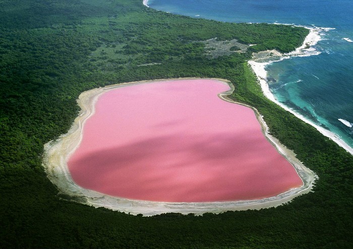 Jusqu'à présent, les scientifiques n'arrivent pas à expliquer pourquoi ce lac en Australie est devenu rose.