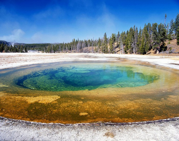 La couleur fantastique de ce lac dans le parc Yellowstone est due aux noctiluques et aux micro-organismes qu'il renferme.