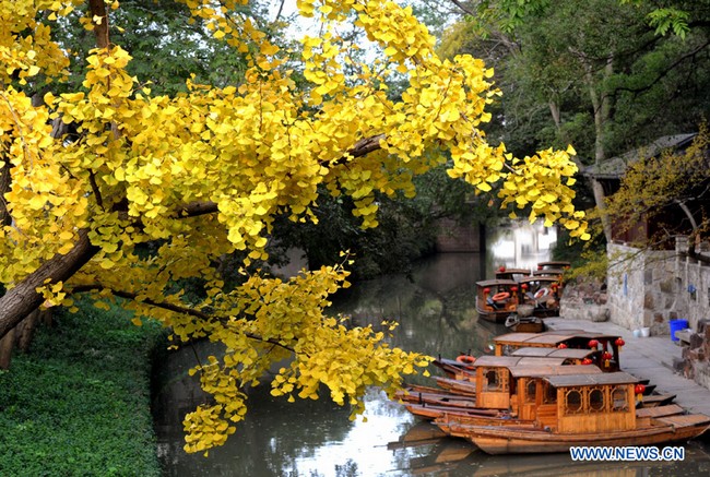 Paysage d'automne à Suzhou 