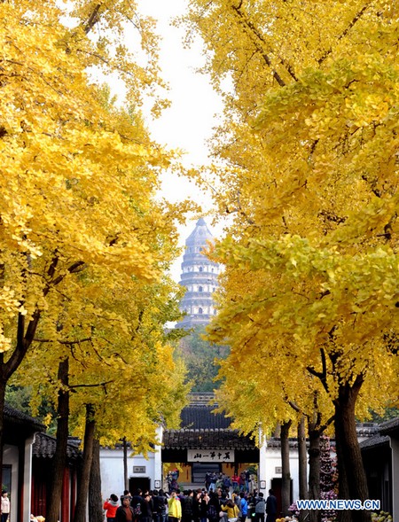 Paysage d'automne à Suzhou  (5)