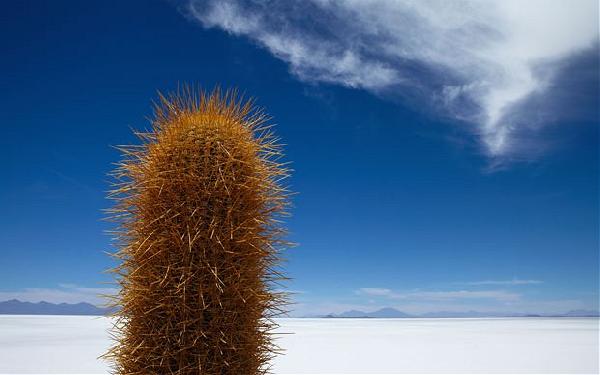 Le désert de sel Salar de Uyuni