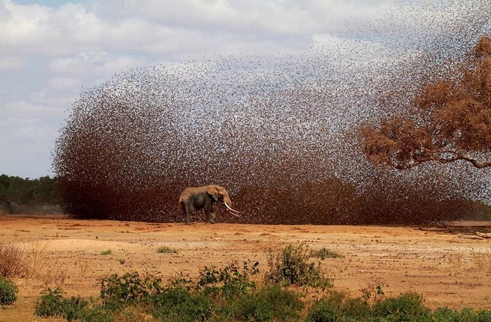 Galerie : meilleures photos du concours National Geographic 2012 (24)