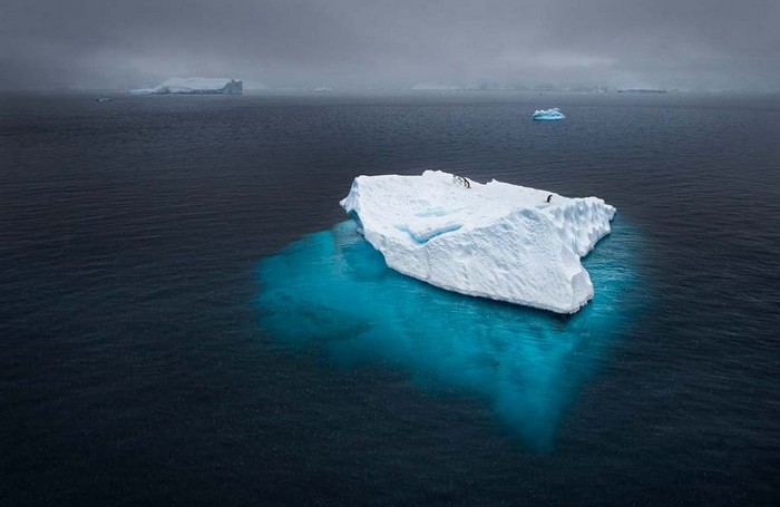 Galerie : meilleures photos du concours National Geographic 2012