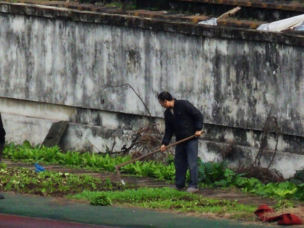 Un homme laboure son potager au bord du terrain du Stade de Datianwan -qui fut était autrefois le premier de stade de classe A après la fondation de la République Populaire de Chine en 1949- dans la Municipalité de Chongqing, dans le Sud-Ouest de la Chine, le 26 novembre 2012. [Photo : Yu Changjiang / Asianewsphoto]