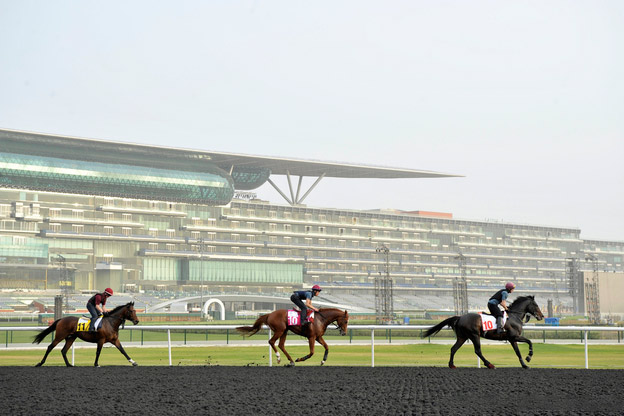 La compétition équestre la plus chère au mondeL'Emir de Dubaï adore les courses de chevaux, c'est pour cette raison que ce sport est très populaire à Dubaï. L'hippodrome de Meydan a été construit pour La compétition équestre la plus chère au monde : la coupe du monde de Dubaï. La prochaine coupe du monde se tiendra le 30 mars 2013.