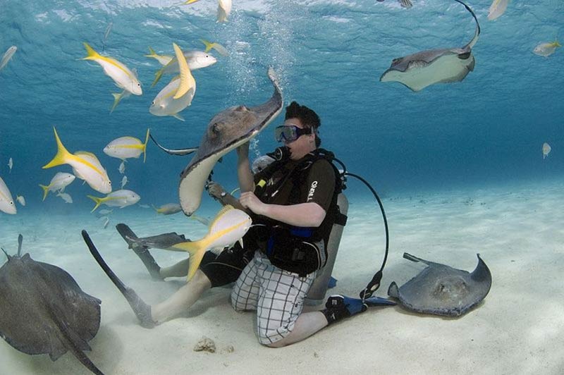 S'amuser dans la ville de Stingray City au Grand Cayman.