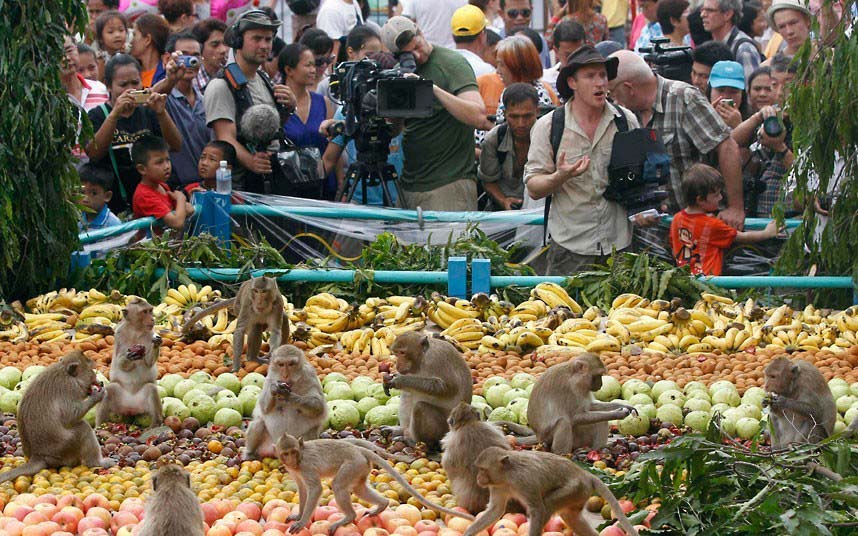 Thaïlande : un gala de fruits pour remercier les singes (4)