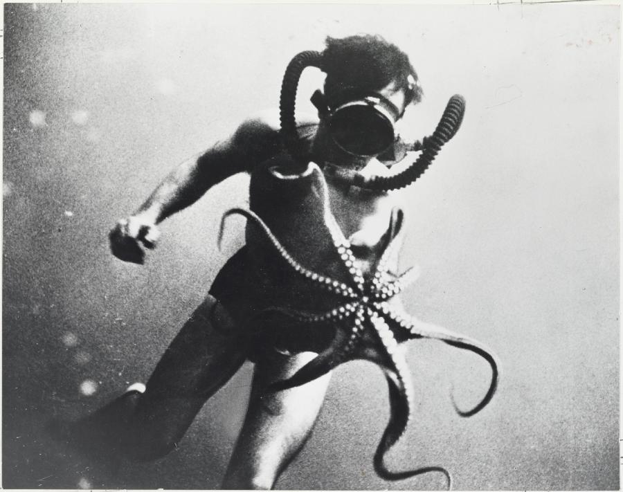 "A diver swims with an octopus, whose arms measured three feet long, Mediterranean Sea" par Cousteau, Jacques, Tailliez, P. & Dumas, F. récolte environ 5 250 dollars au cours de la vente aux enchères chez Christie's à New York, aux États-Unis, le 6 décembre 2012. 