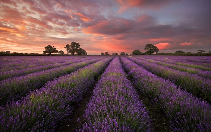 Les beaux paysages à ne pas manquer en 2012 (22)