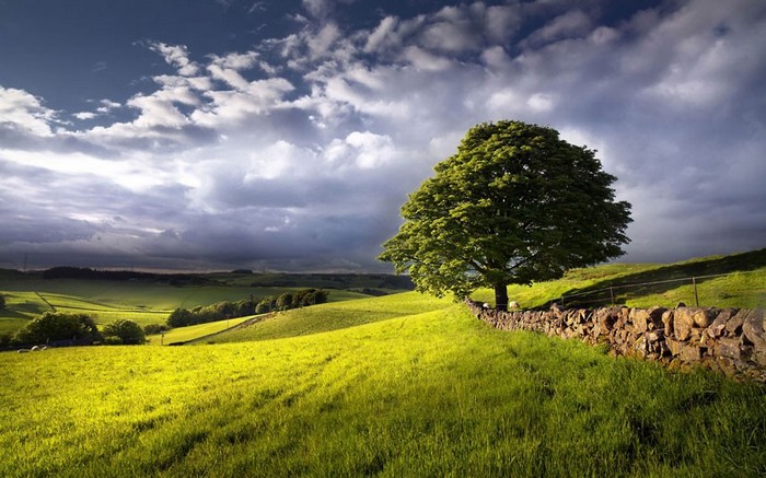 Les beaux paysages à ne pas manquer en 2012 (6)