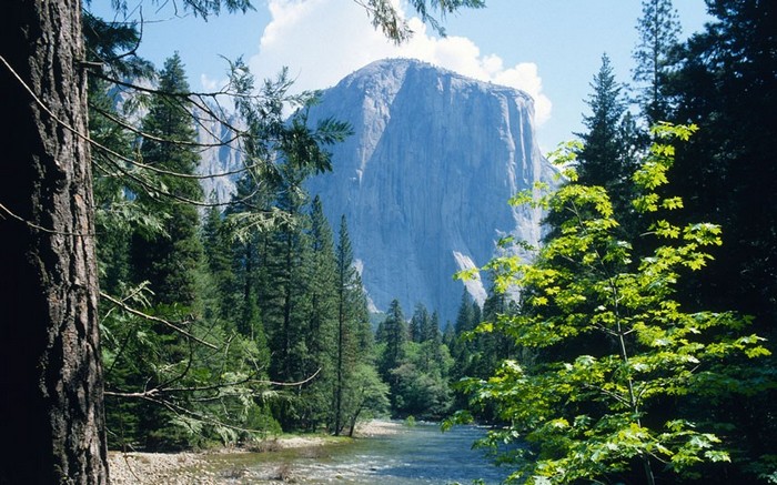 Le parc national de Yosemite, en Californie, Etats-Unis