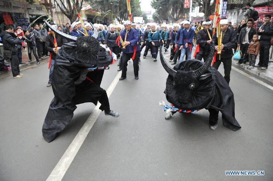 Le 18 décembre, deux habitants de l'ethnie Dong se déguisent en taureaux lors d'une parade de la fête du Sama dans le district Rongjiang du Guizhou en Chine. (Xinhua/Ou Dongqu)