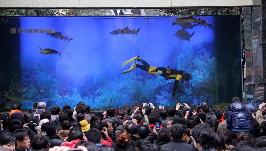 Le célèbre aquarium des requins à Shanghai a explosé (9)