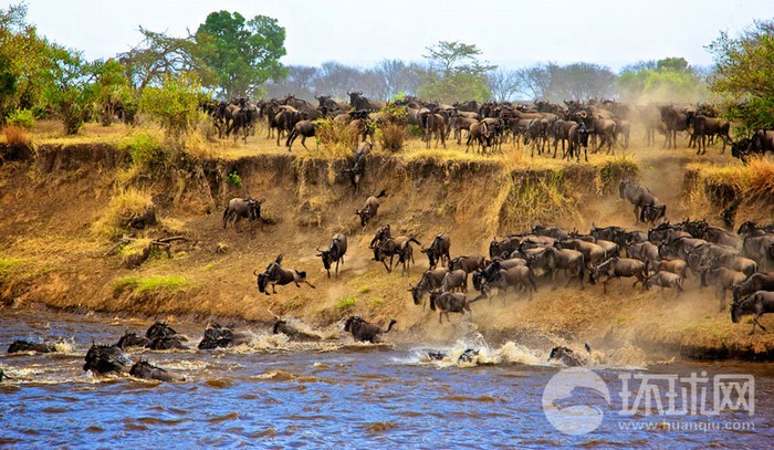 EN IMAGES: migrations des animaux en Afrique (6)