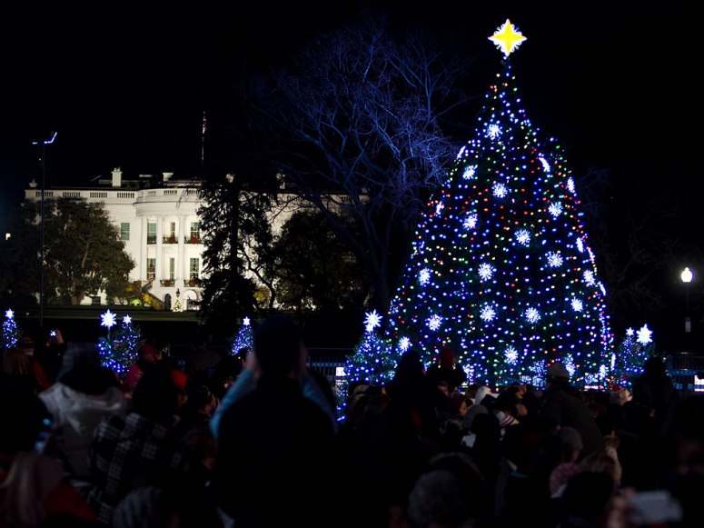 L'arbre de Noël national à Washington