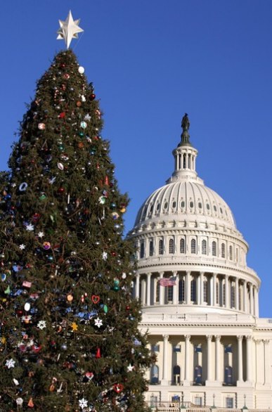 L'arbre de Noël devant le Capitole à Washington
