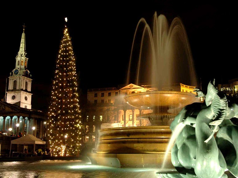 L'arbre de Noël sur la place Trafalgar, LondresAfin de remercier la Grande-Bretagne pour son aide durant la Seconde guerre mondiale, Oslo a offert un sapin de Norvège à Londres il y a 65 ans. Cette année, le sapin de Norvège de 20 mètres de haut a été bien préparé pour la cérémonie d'illuminations de Noël, qui s'est tenue le 6 décembre.