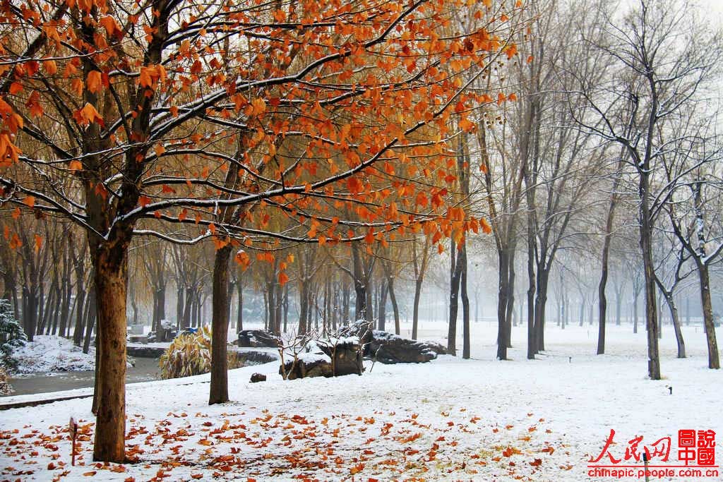 Une Chine magnifique sous la neige (31)