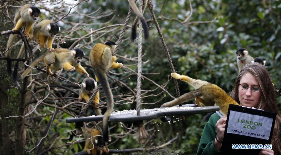 Photos: des animaux adorables au zoo de Londres (2)