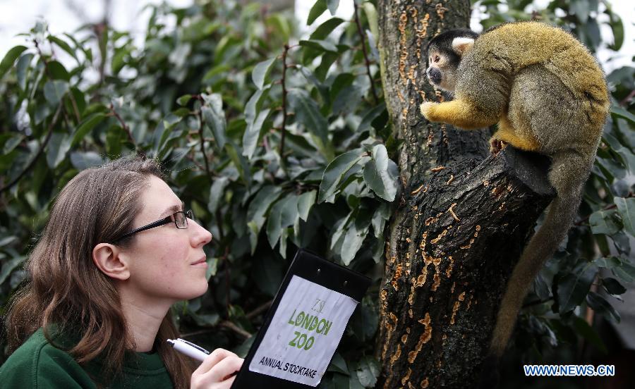 Photos: des animaux adorables au zoo de Londres (6)