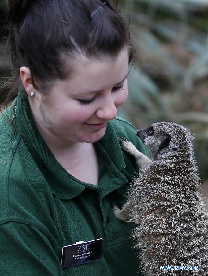 Photos: des animaux adorables au zoo de Londres (11)