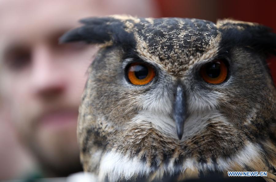 Photos: des animaux adorables au zoo de Londres (4)