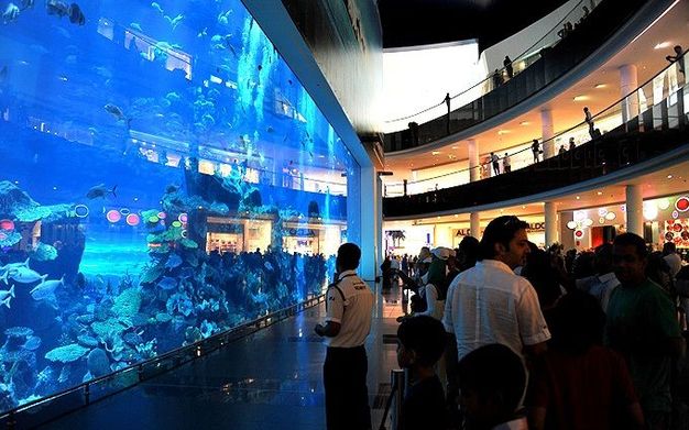 Voici le plus grand aquarium du monde. De nombreux clients l'observent chaque jour.