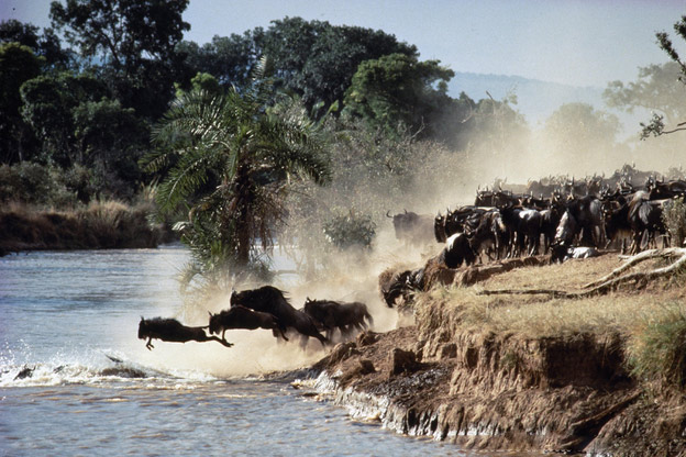 Paysages surprenants de l'Afrique