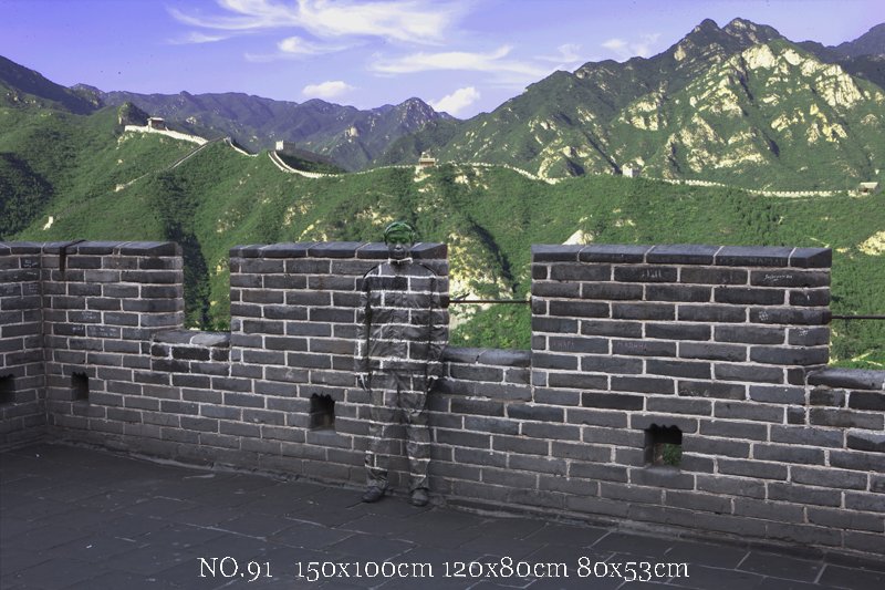 Liu Bolin, un expert chinois du camouflage (6)