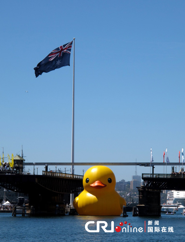 Un canard géant flotte dans le port de Sydney (5)