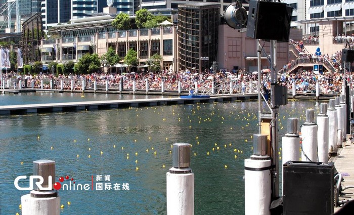 Un canard géant flotte dans le port de Sydney (2)