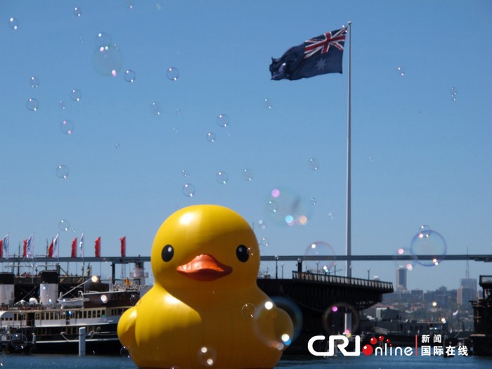 Un canard géant flotte dans le port de Sydney (4)