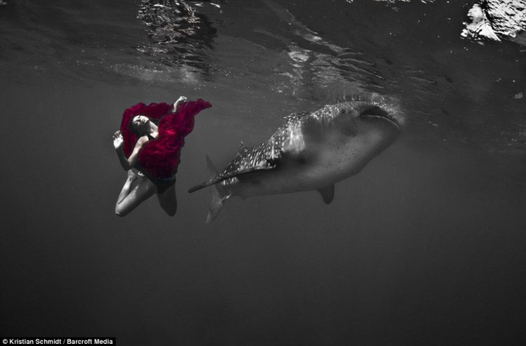 Deux mannequins qui nagent avec les requins dans la mer (5)