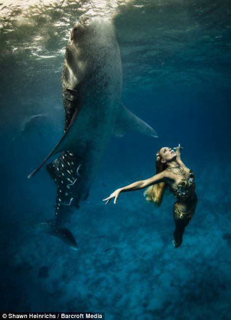 Deux mannequins qui nagent avec les requins dans la mer (6)