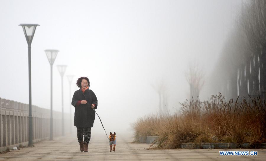 Une femme marche avec son chien dans une rue recouverte de brouillard, à Nanchang, capitale de la province du Jiangxi, le 12 janvier 2013.