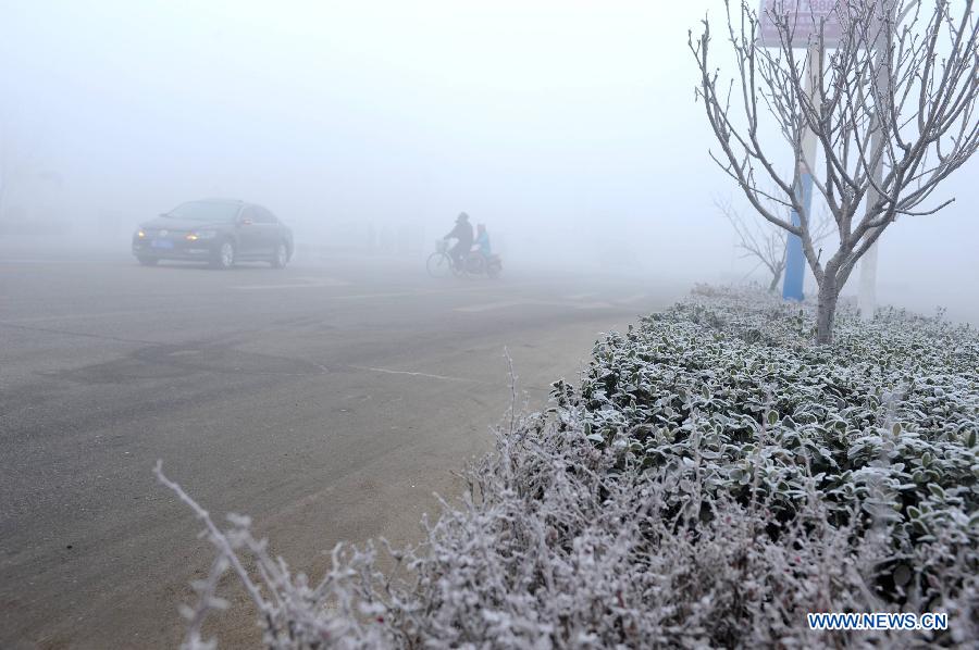 Des véhicules roulent sur une route recouverte de brouillard, à Baoding, ville de la province du Hebei (nord), le 12 janvier 2013.