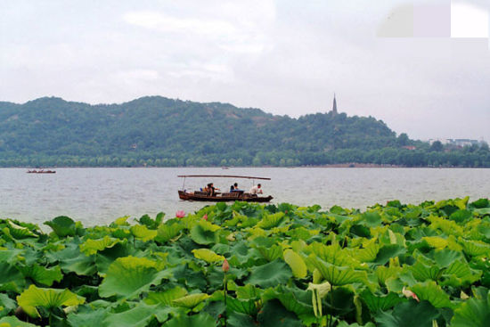 Hangzhou (chef-lieu de la province du Zhejiang, est de la Chine)Surnommée le « paradis sur terre », Hangzhou est depuis toujours considérée comme l'éden chinois.