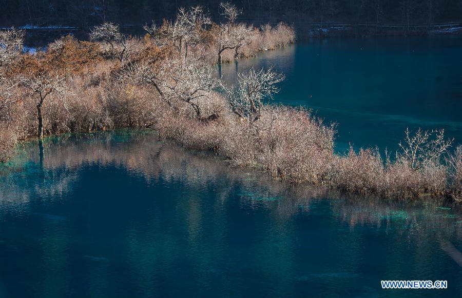 Photo prise le 18 janvier 2013 montrant de beaux paysages de l'hiver dans la vallée de Jiuzhaigou, dans la province du Sichuan (sud-ouest de la Chine)