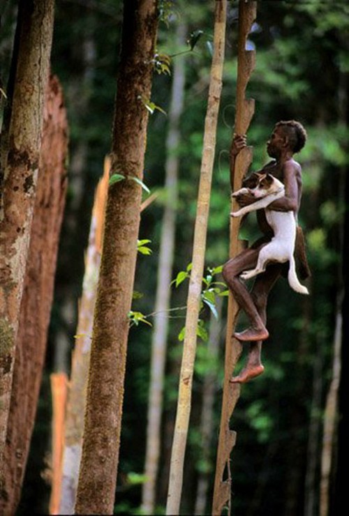 Papouasie-Nouvelle-Guinée : les seuls peuples du monde qui vivent dans les arbres (3)