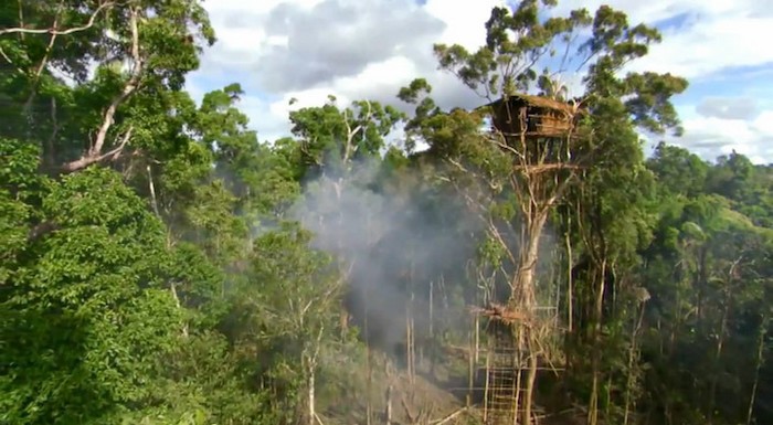 Papouasie-Nouvelle-Guinée : les seuls peuples du monde qui vivent dans les arbres (4)