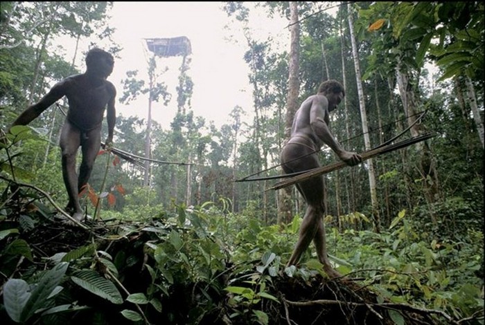 Papouasie-Nouvelle-Guinée : les seuls peuples du monde qui vivent dans les arbres (5)